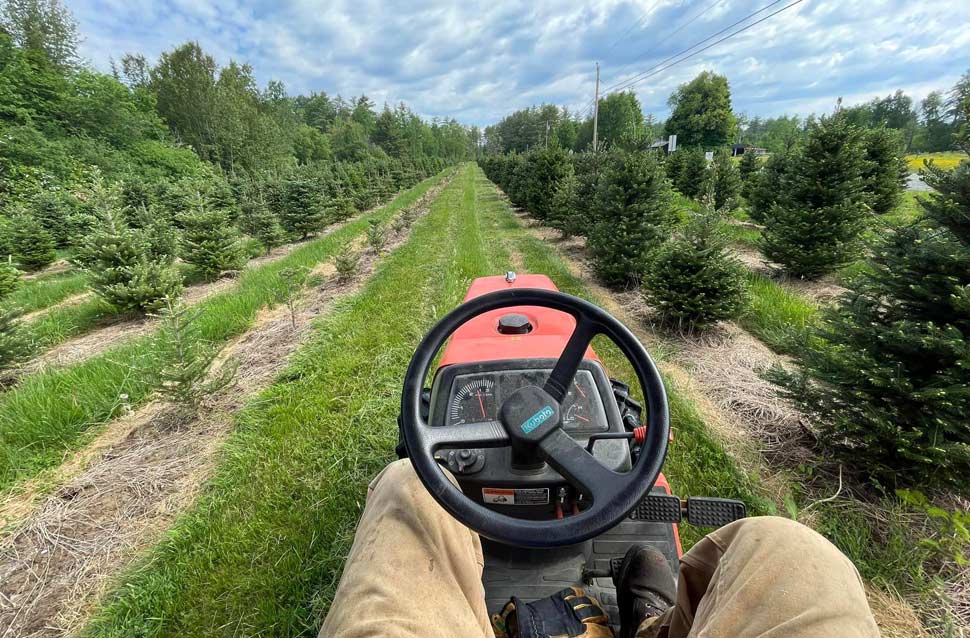 Tractor on Tree farm